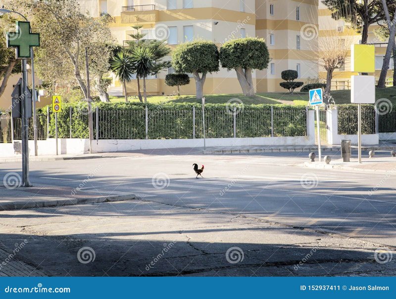 Best chicken road online in Spain Best chicken road online in Spain